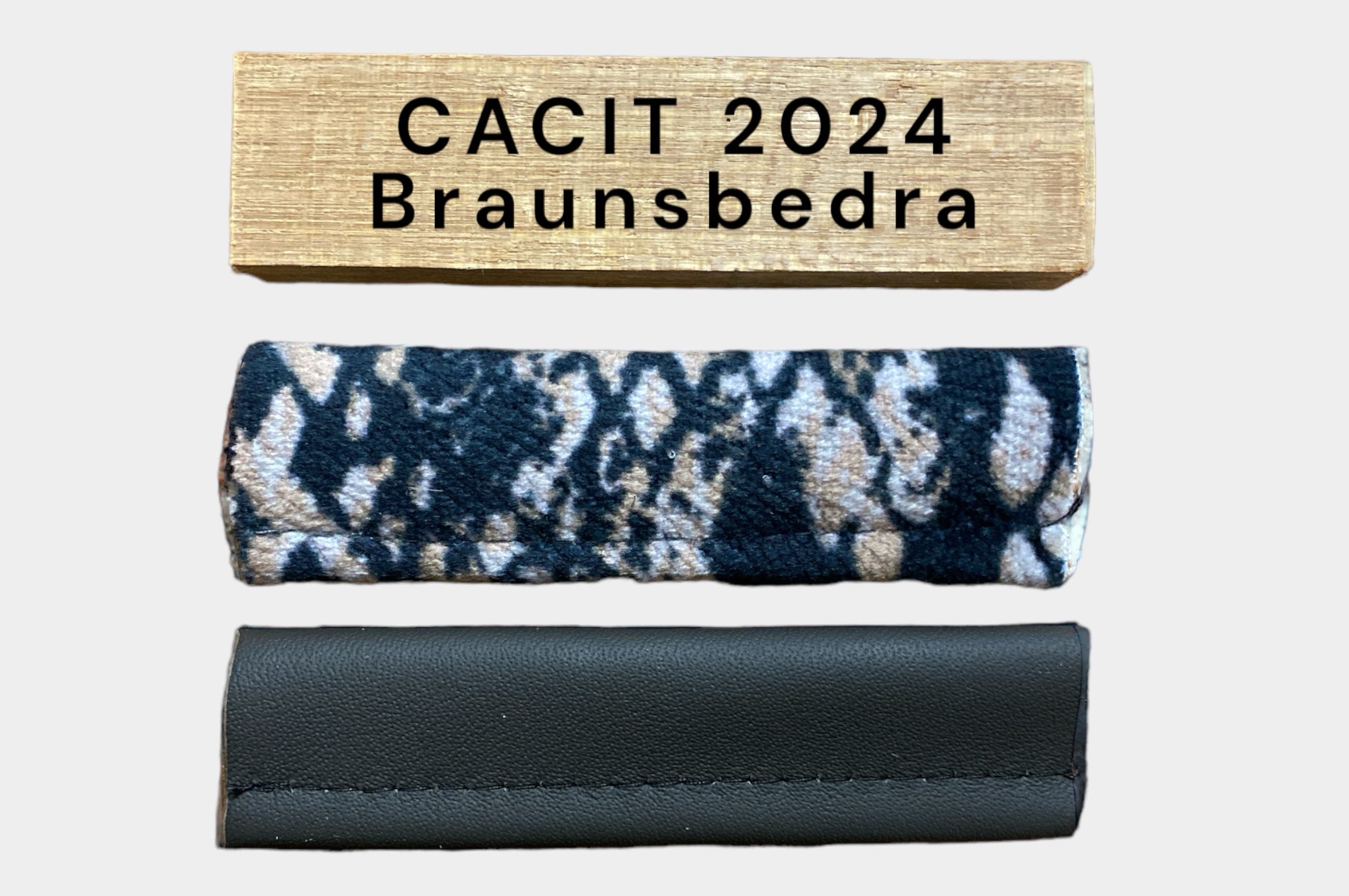 Cacit 2024 Germany Braunsbedra