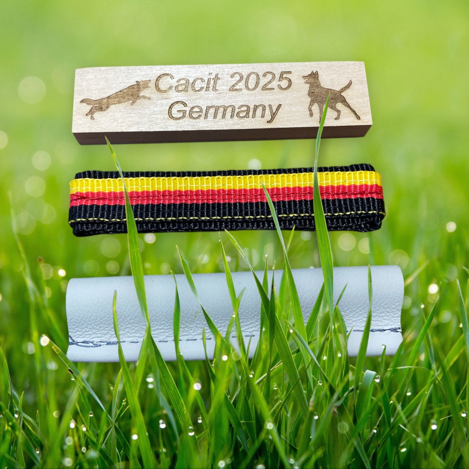 Cacit 2025 Germany